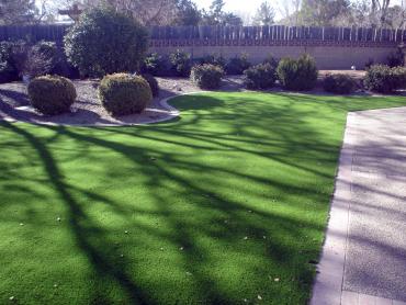 Artificial Grass Photos: Artificial Pet Turf Colton California Back and Front Yard